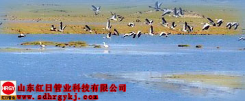 雙平壁鋼塑復合排水管