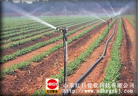 雙壁波紋管