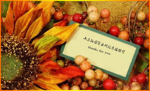 山東紅日管業(yè)科技有限公司