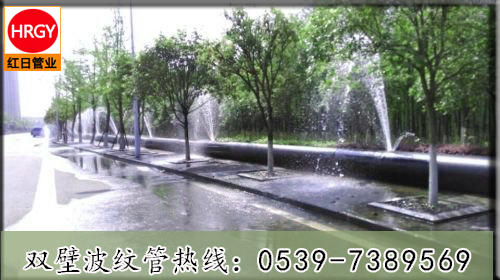 雙壁波紋管